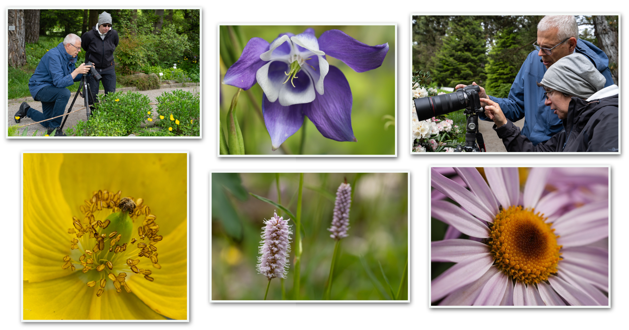 Collage Einzelcoaching 5432