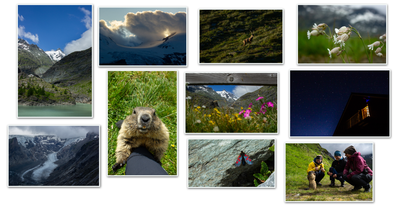 Collage Coaching madeleine.2