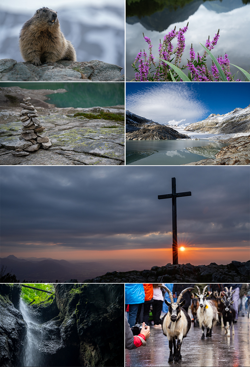 Collage News mai 2026-1